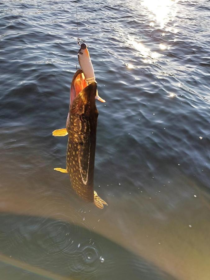 Kaszubskie Laki Lakie Bagian luar foto